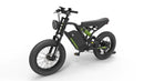 Greenworks 60V Utility eBike 20”